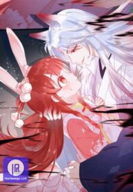 Cynical Master Raises Rabbit Spirit