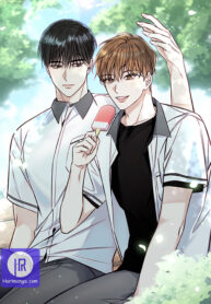 Summer Season