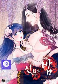 The Bridal Night